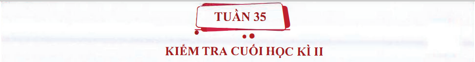 Ôn tập Tuần 35