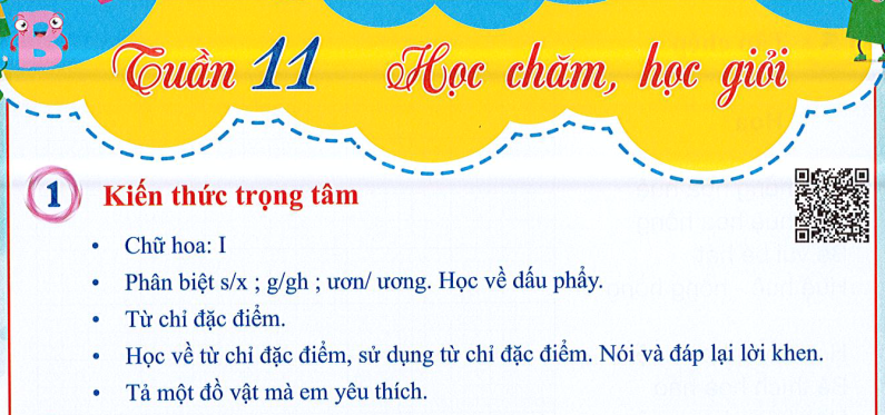 Ôn tập Tuần 11