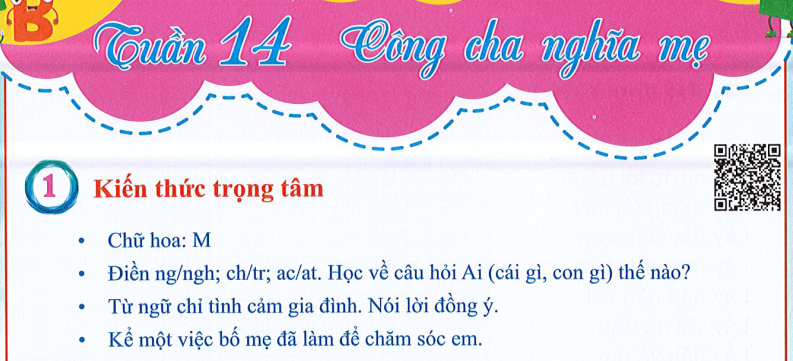 Ôn tập Tuần 14