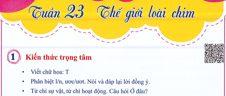 Ôn tập Tuần 23