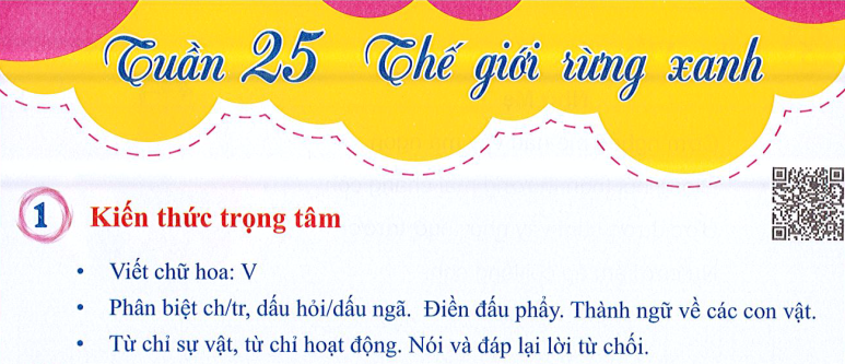 Ôn tập Tuần 25