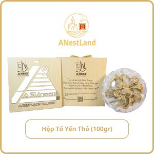 Tổ Yến Thô AnestLand 100g